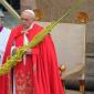 Domingo de Ramos com o Papa Francisco